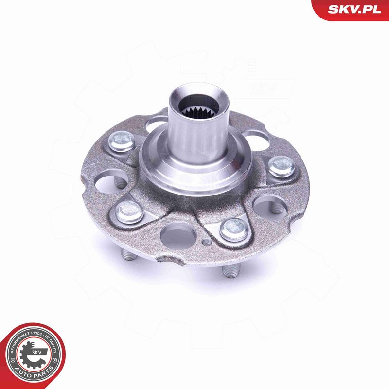 ESEN SKV 29SKV311 Wheel Bearing Kit
