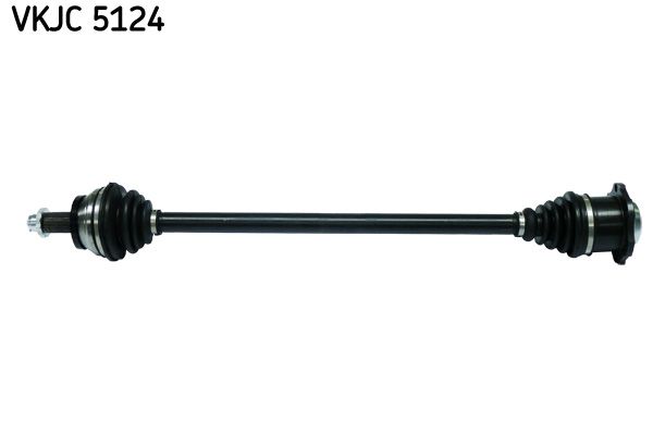 VKJC 5124.JPG