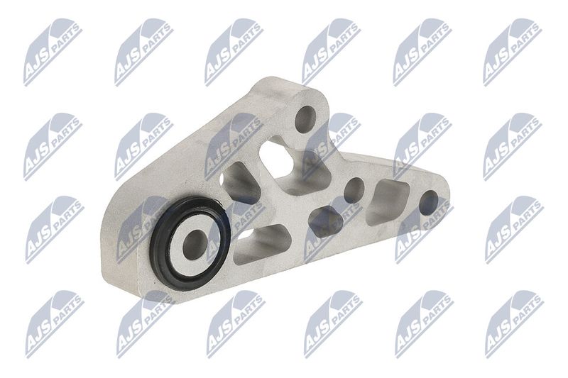 Paigutus, Mootor, NTY ZPS-CH-119