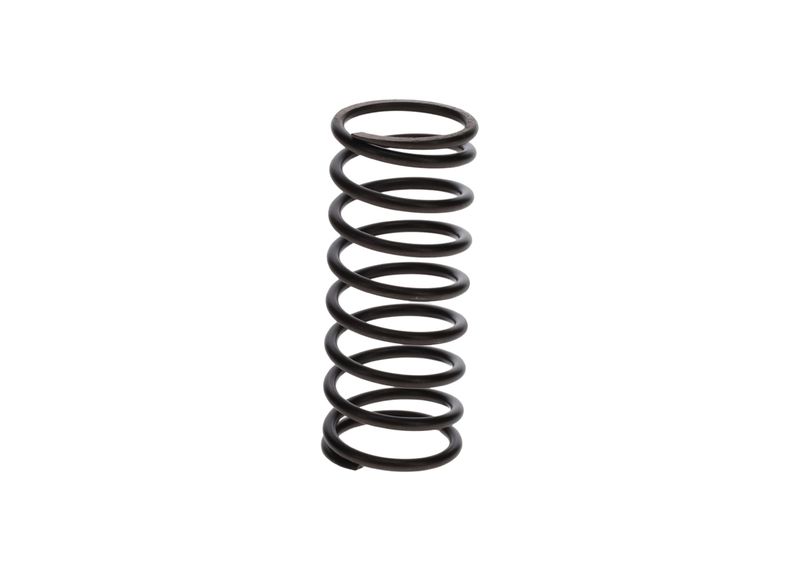 Arc 1 424 631 005 BOSCH