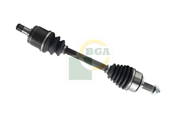Veovõll, BGA DS2520L