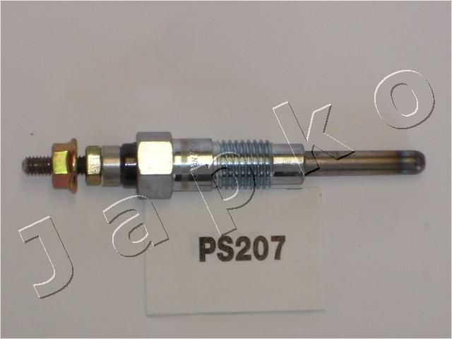 PS207_1.JPG