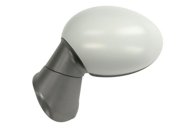 BLIC 5402-05-0884312P Exterior Mirror