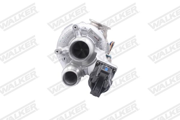 59952g-ev_5348951.JPG