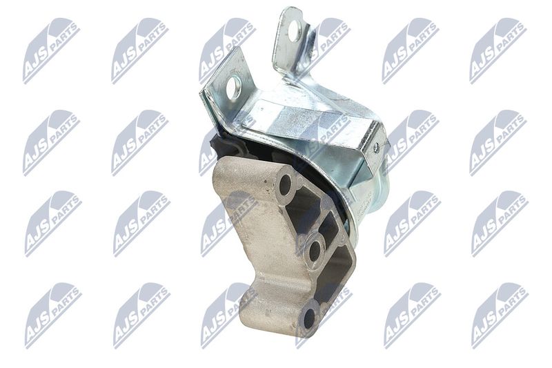 Paigutus, Mootor, NTY ZPS-FT-013