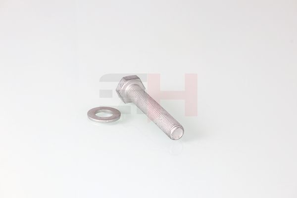 Kruvi, teljetapid, GH GH-391602