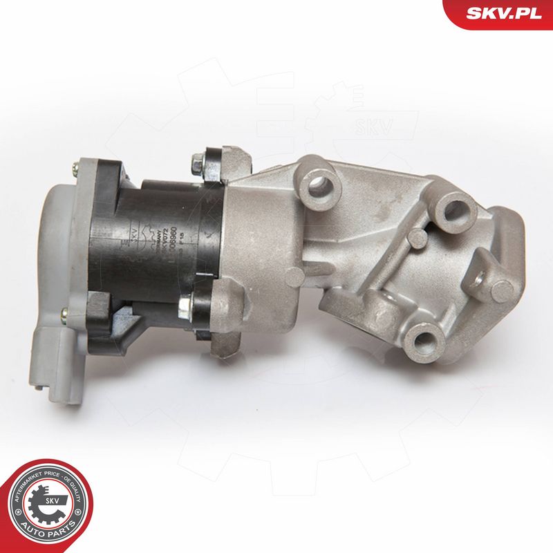 ESEN SKV 14SKV072 EGR Valve