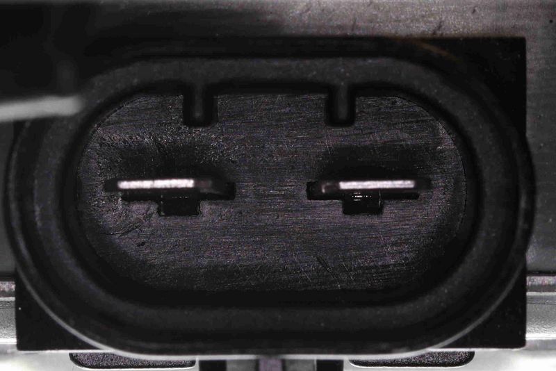 VEMO V24-01-1294 Fan, engine cooling