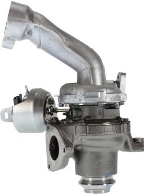 GS440731.JPG