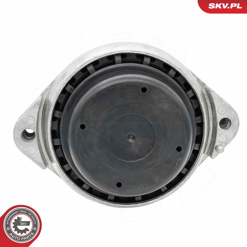 Paigutus, Mootor, ESEN SKV 75SKV246