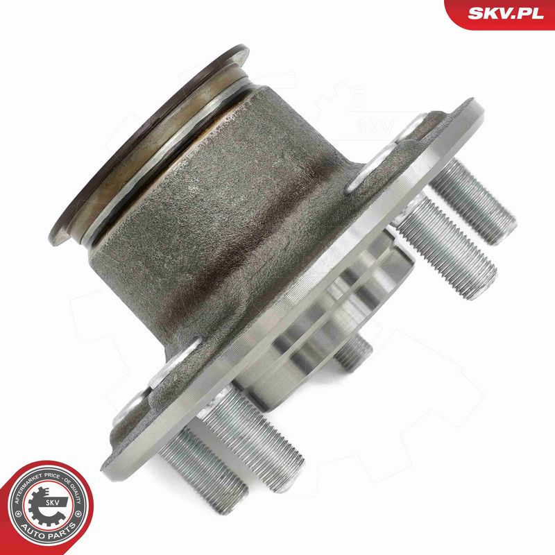 ESEN SKV 29SKV667 Wheel Bearing Kit
