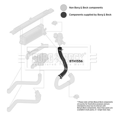 BTH1556_4118570.JPG