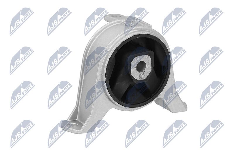 Paigutus, Mootor, NTY ZPS-PL-001