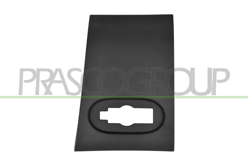 Listón embellecedor/protector, panel lateral