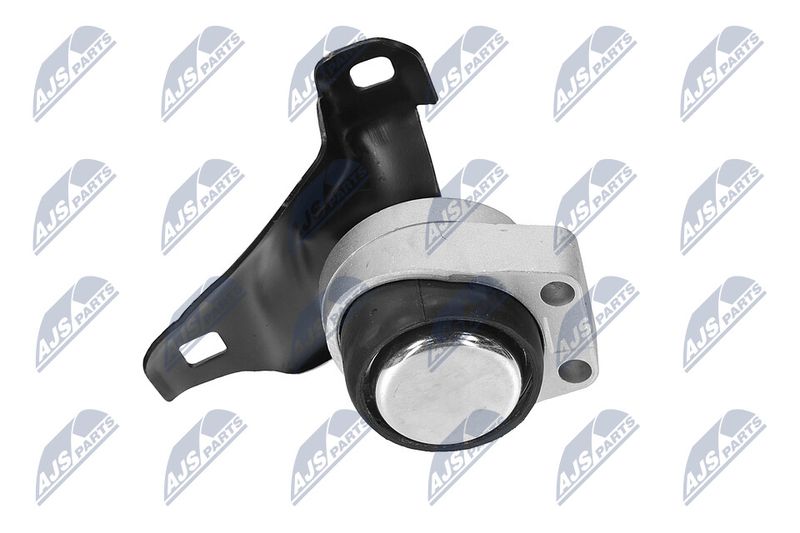 Paigutus, Mootor, NTY ZPS-FR-011