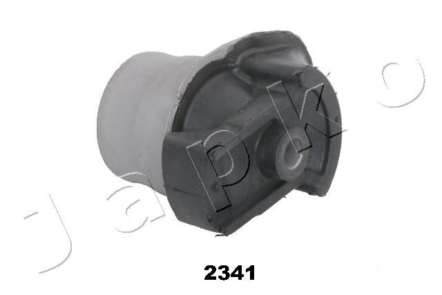 GOJ2341_1.JPG