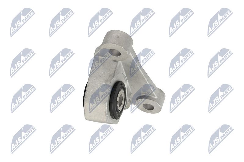 Paigutus, Mootor, NTY ZPS-CH-118