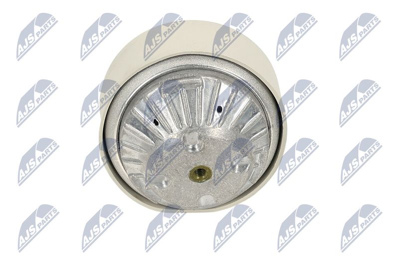 Paigutus, Mootor, NTY ZPS-ME-102