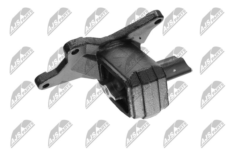 Paigutus, Mootor, NTY ZPS-CH-030