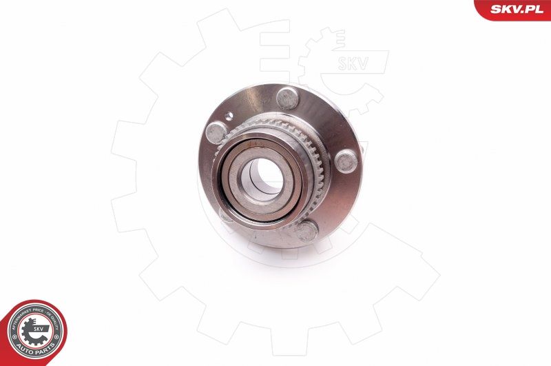 ESEN SKV 29SKV058 Wheel Bearing Kit