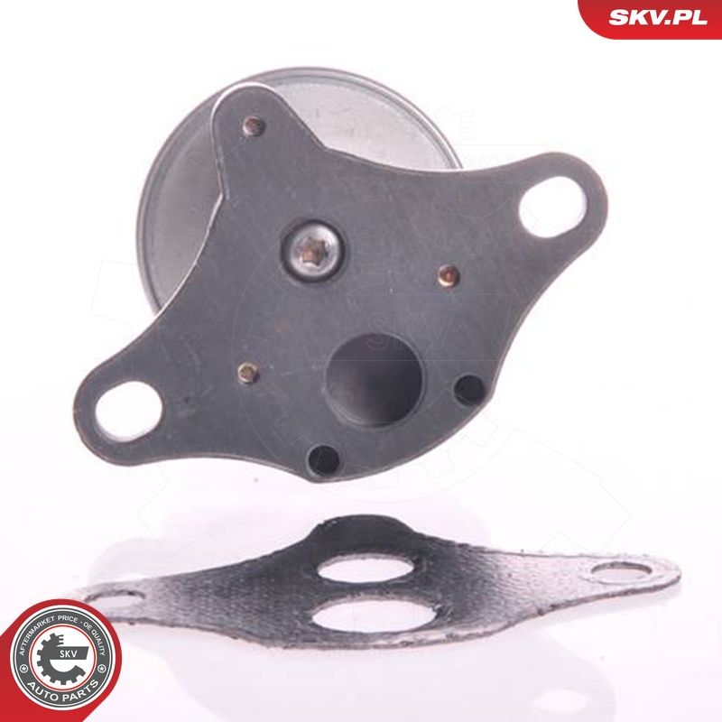 EGR-klapp, ESEN SKV 14SKV002
