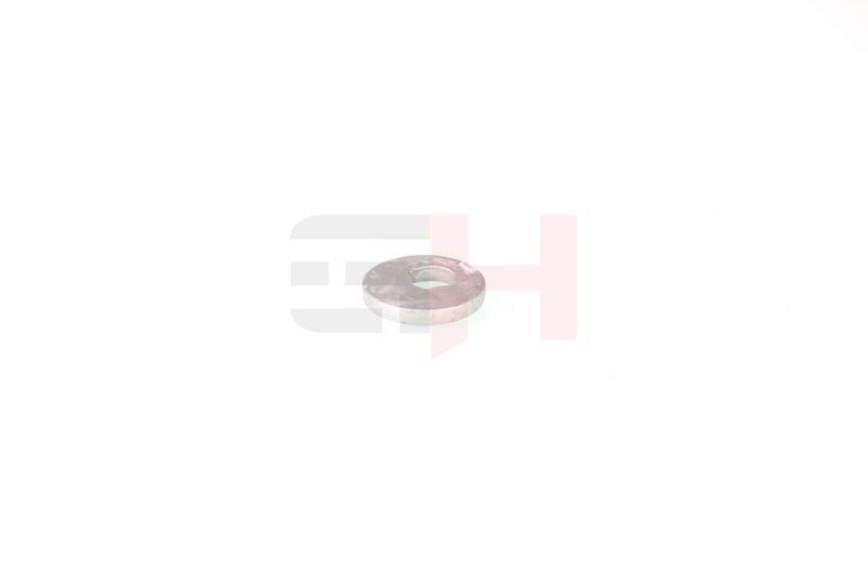 caster shim, sillatala, GH...