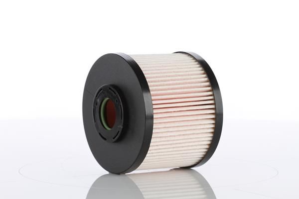 WP1521X.JPG