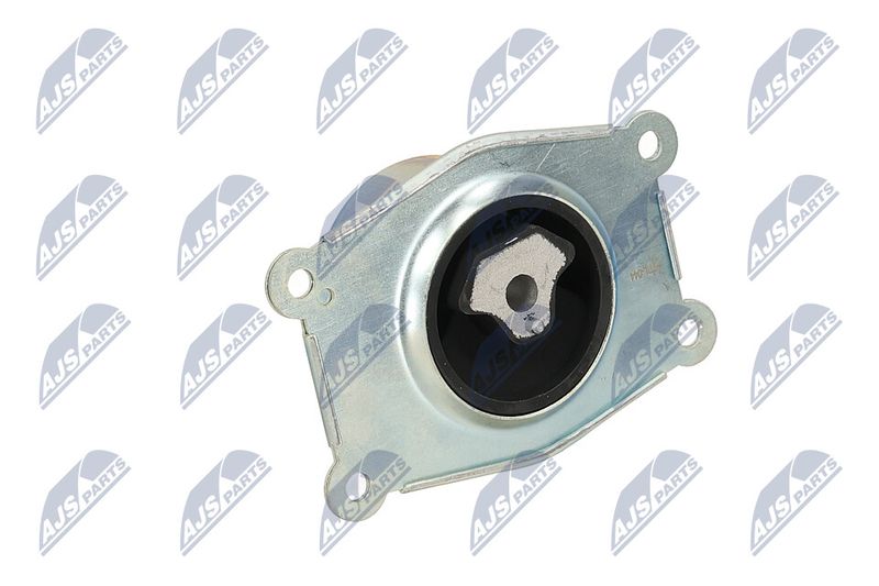 Paigutus, Mootor, NTY ZPS-PL-044
