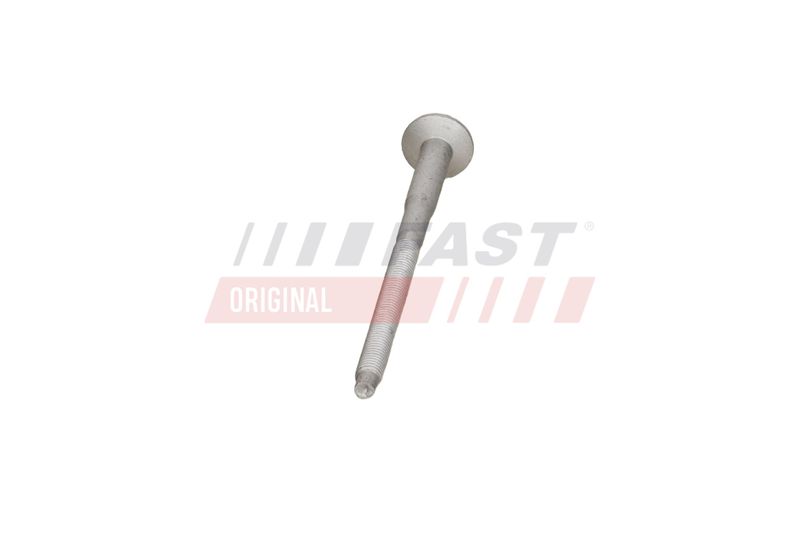 Kruvi, sissepritsedüüsi kinnitus, FAST FT51604