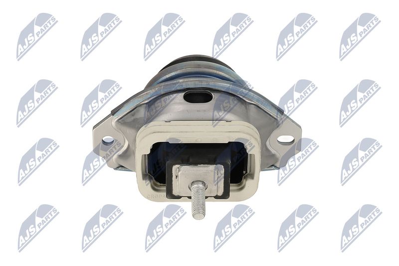 Paigutus, Mootor, NTY ZPS-LR-019