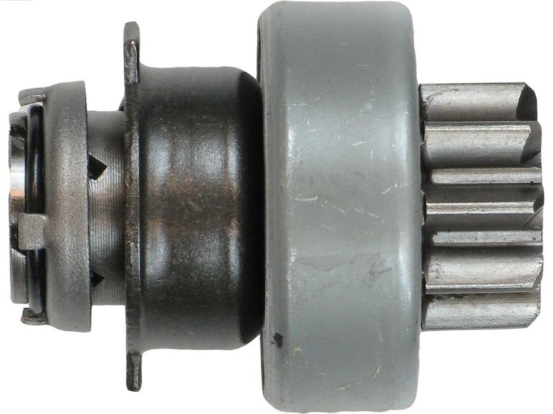 49401.JPG