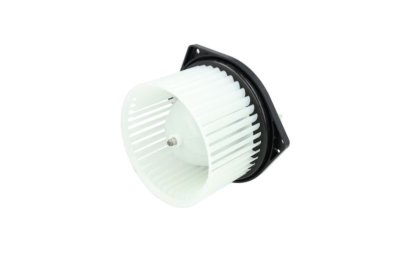 Salongipuhur, NRF 34377