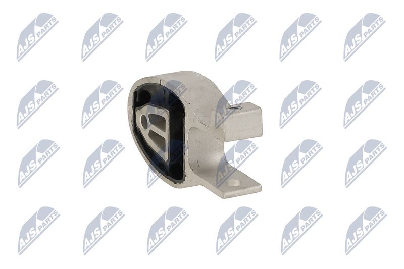 Paigutus, Mootor, NTY ZPS-FR-037