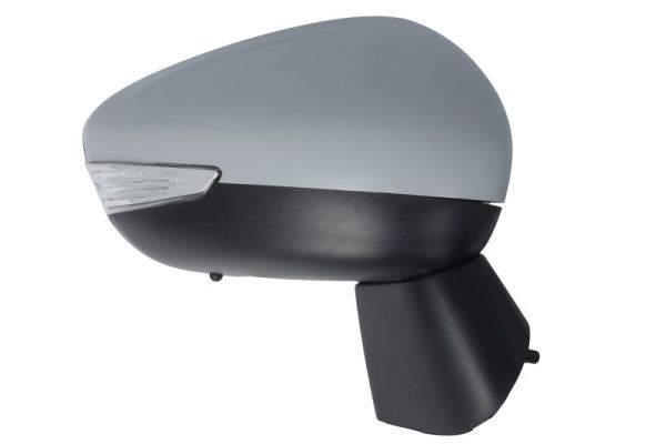 BLIC 5402-21-1882311P Exterior Mirror
