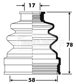 BCB2382_235710.JPG