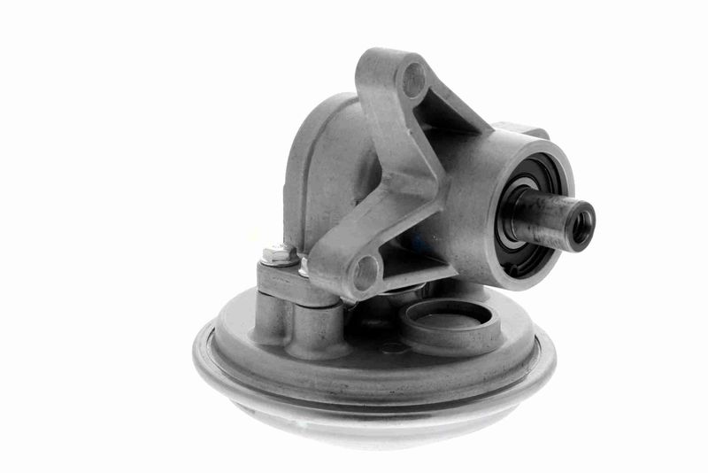 VAICO V25-1907 Mounting, engine