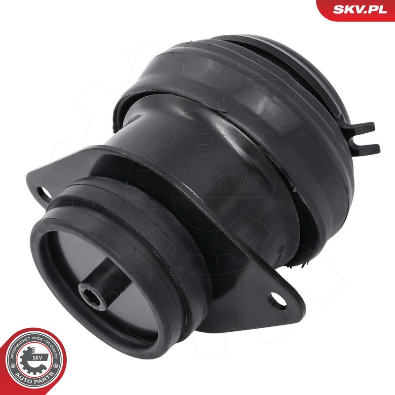 Paigutus, Mootor, ESEN SKV 75SKV010