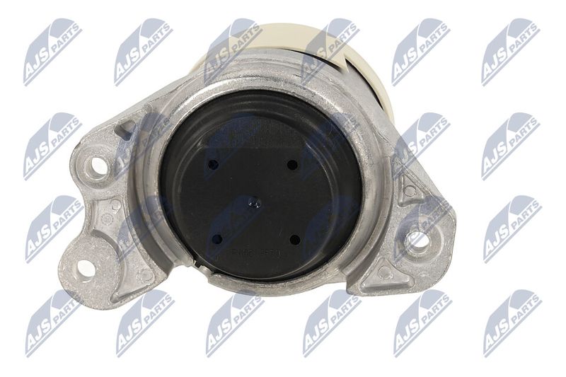 Paigutus, Mootor, NTY ZPS-ME-064