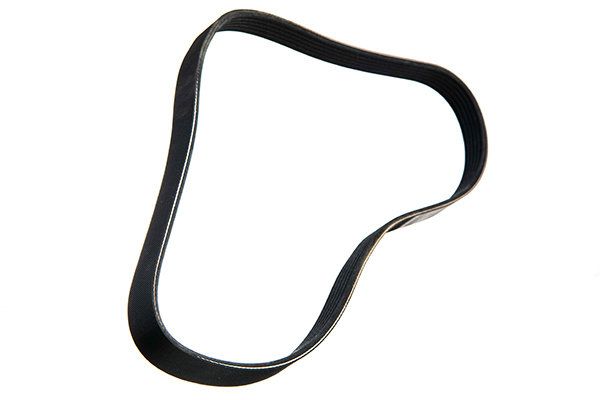 STELLOX 96-01018-SX V-ribbed Belt