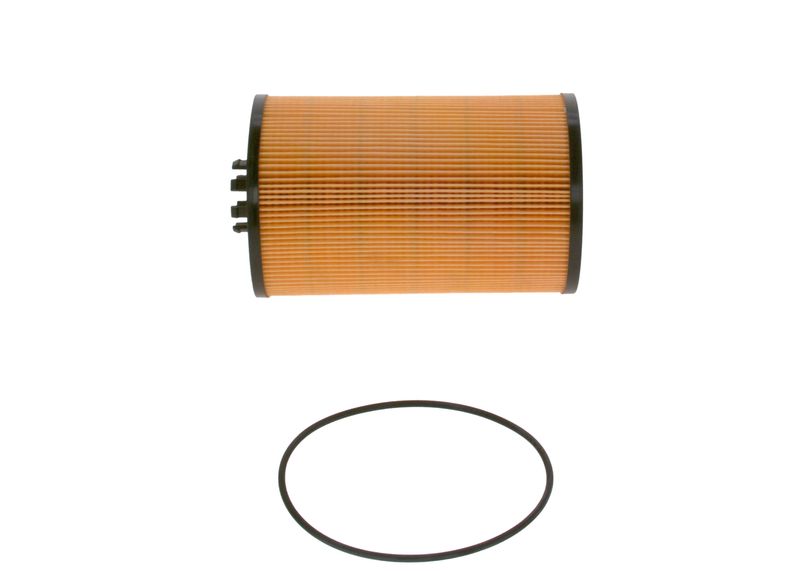 BOSCH F 026 407 252 Oil Filter