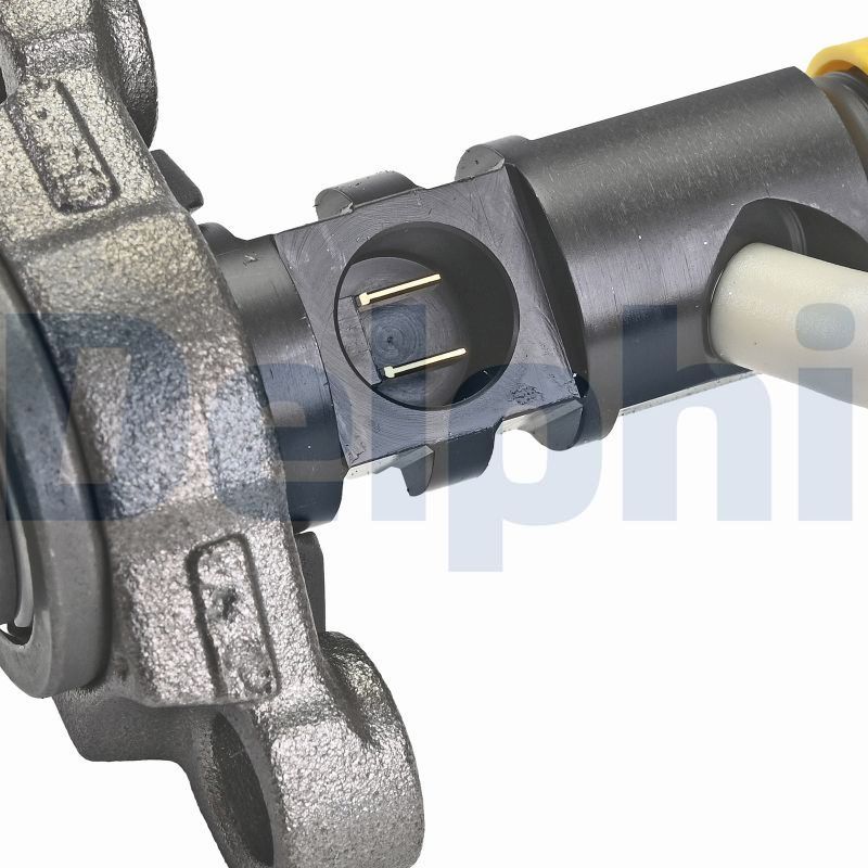 DELPHI R06001D-12B1 Injector