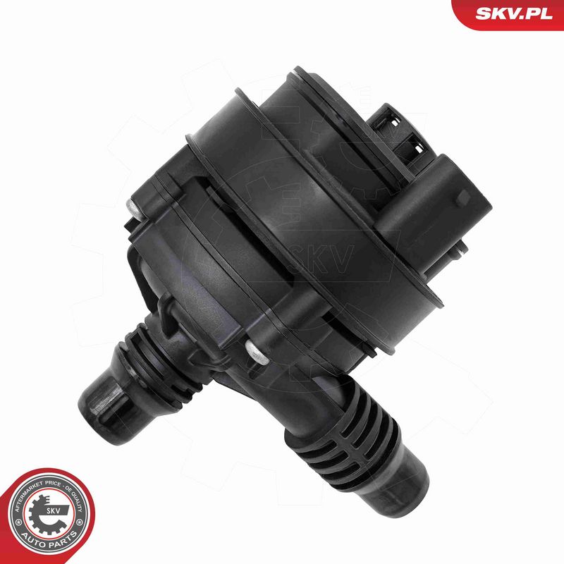 ESEN SKV 22SKV094 Auxiliary Water Pump (cooling water circuit)