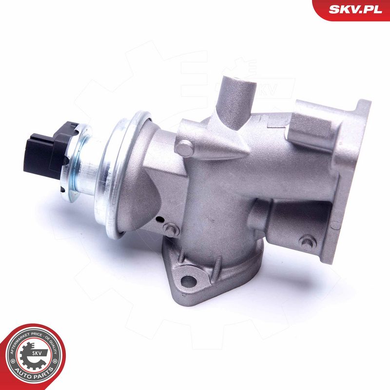 EGR-klapp, ESEN SKV 14SKV181