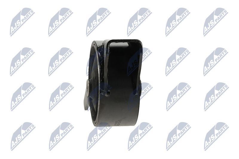 Paigutus, Mootor, NTY ZPS-NS-079