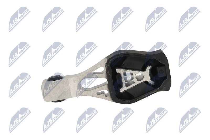 Paigutus, Mootor, NTY ZPS-PE-022