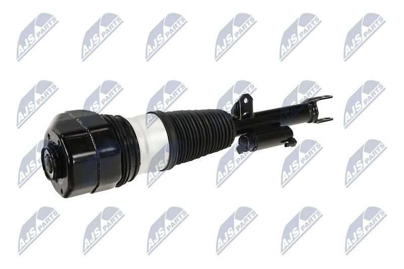 Amort, NTY A-BM-088