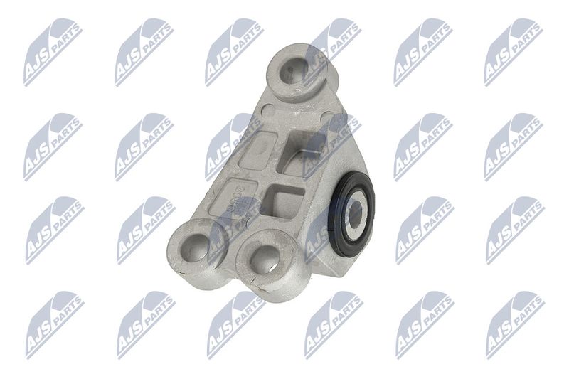 Paigutus, Mootor, NTY ZPS-CH-118