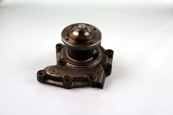 P9938.JPG