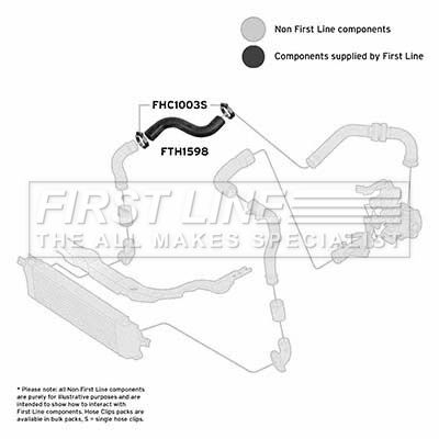 FTH1598_1101710.JPG