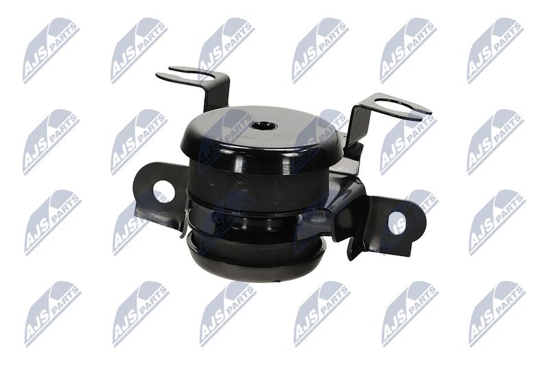 Paigutus, Mootor, NTY ZPS-MZ-040